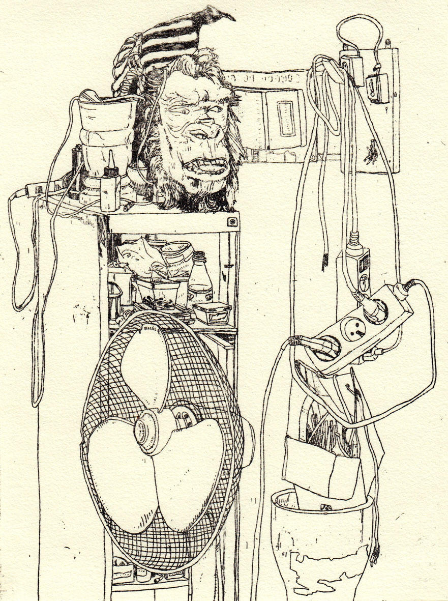 20