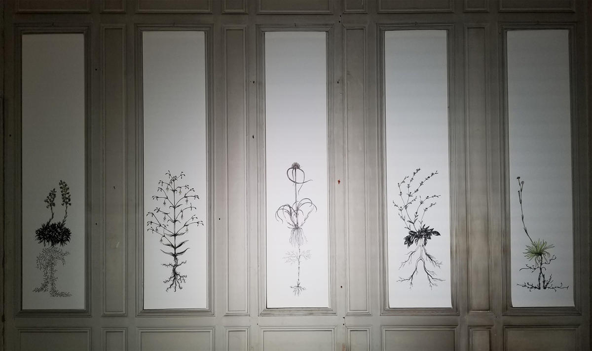 Rahel ulveczki   mondes invisibles6